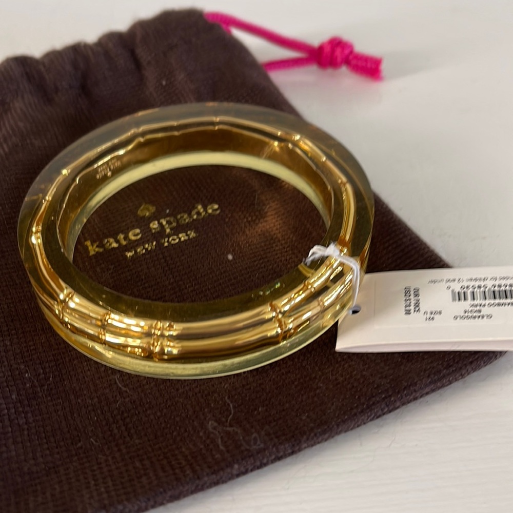 Kate spade bamboo in lucite bangle
